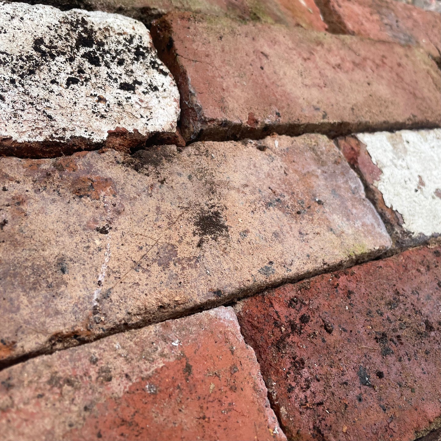 Reclaimed Victorian Red Bricks £1 Each