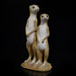 Meerkat Couple Figurine Ornament